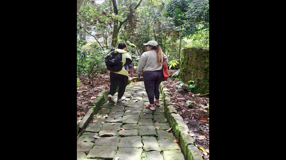 Visite O Jardim Botânico foto 5