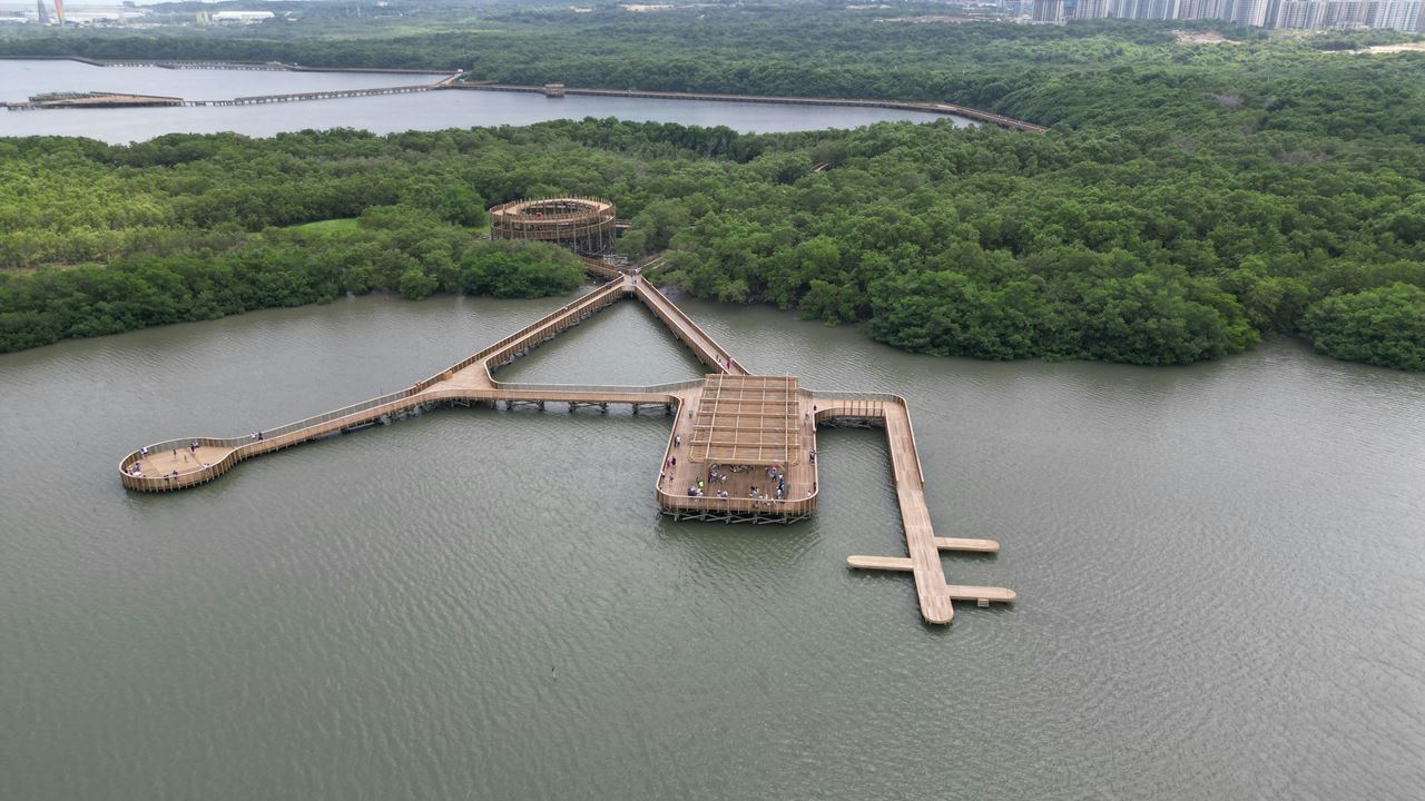 Visita Guiada Al Parque Ciénaga De Mallorquín foto 3