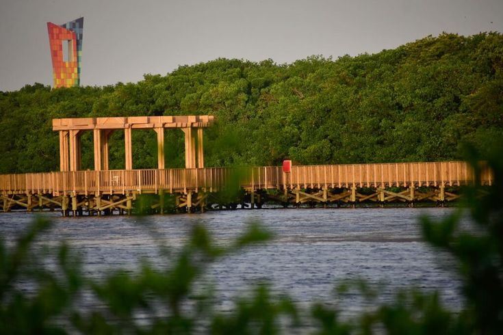 Visita Guiada Al Parque Ciénaga De Mallorquín foto 1