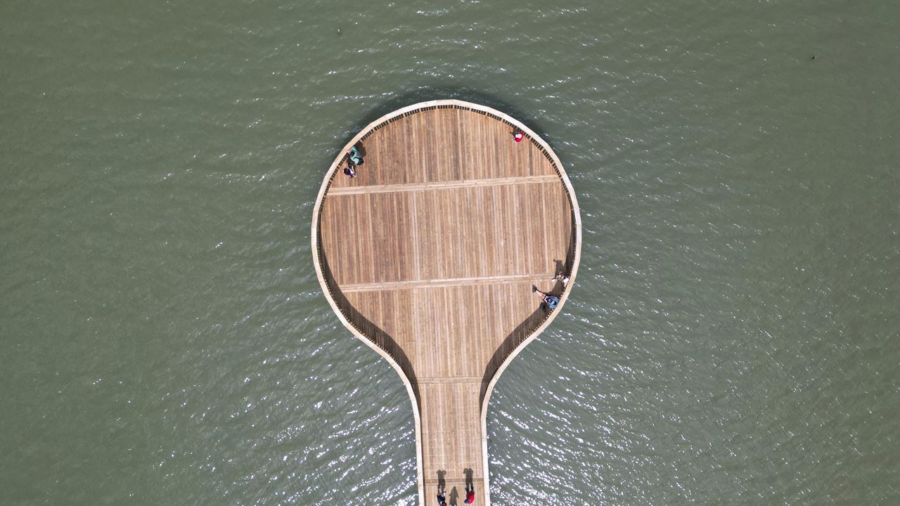 Visita Guiada Al Parque Ciénaga De Mallorquín foto 6