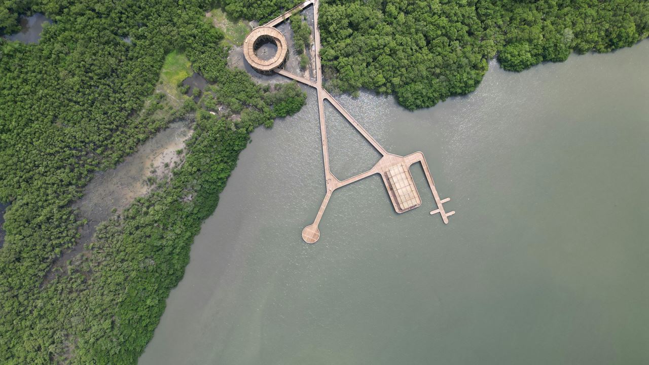 Visita Guiada Al Parque Ciénaga De Mallorquín foto 5