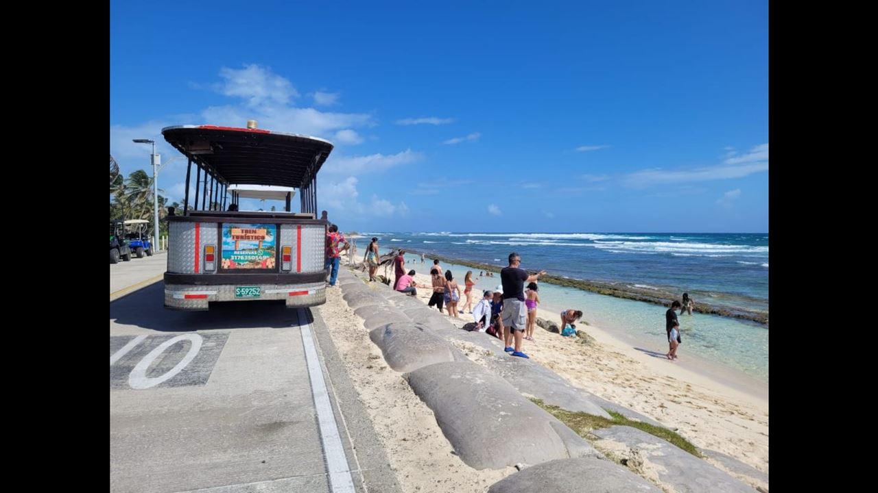 Passeio Pela Ilha Em Trem Turístico foto 8