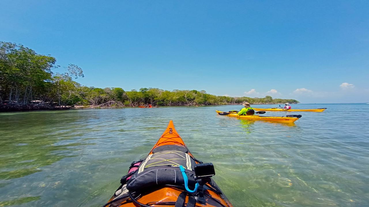 Barú By Kayak: An Immersion In Natural Beauty