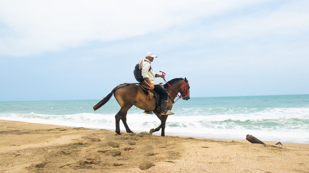 Cabalgata A Playa Los Naranjos