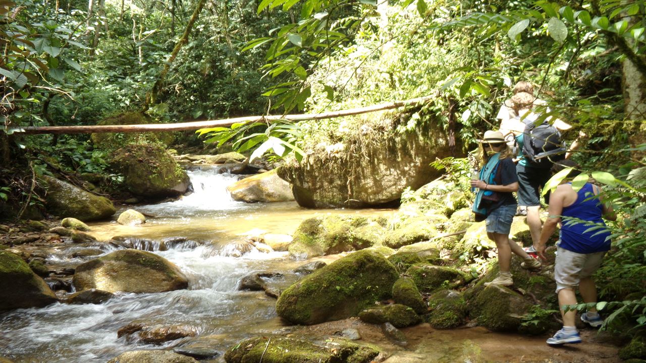 Cachoeira La Miel: Caminhadas E Aventura Em La Ceja
