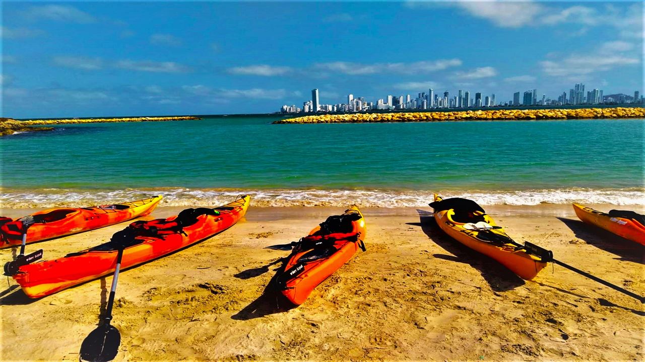 Punta Arena Kayak Tour