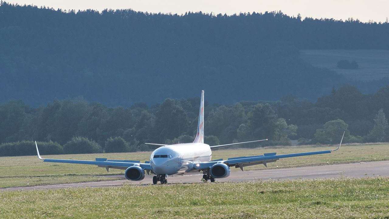Transfer Privado De Llegada: Aeropuerto Internacional El Edén A Hotel