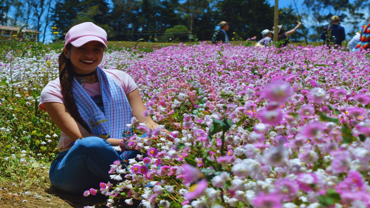 Tour Silleteros En Santa Elena - Feria De Las Flores 2026