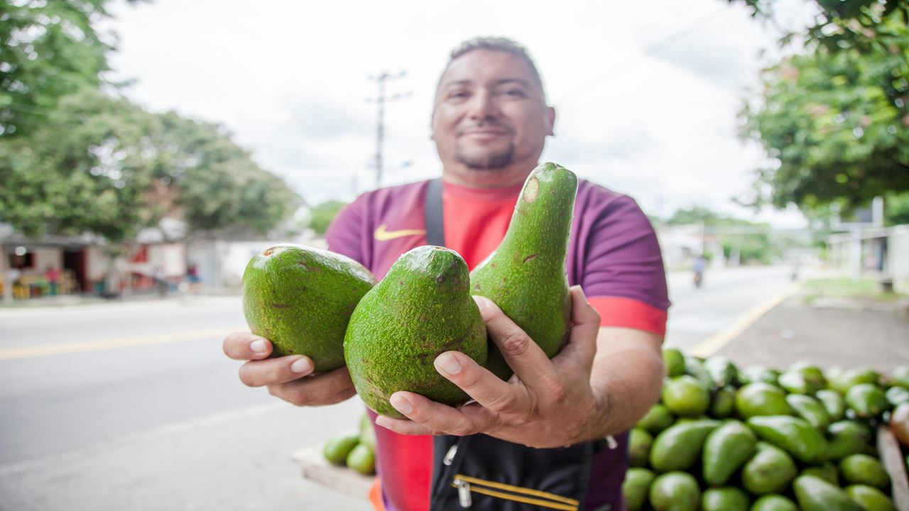 Culture Et Saveurs Colombiennes En 3 Jours